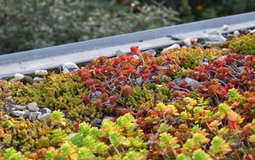the cost of Mowhaugh green roof installation